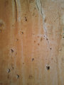 Shed-Texture20110809_0019