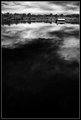Free Study XV Outtake I