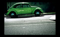 Green Bug