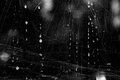 window-texture