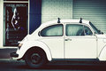 beetle erotica
