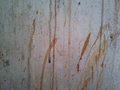 Shed-Texture20110809_0011