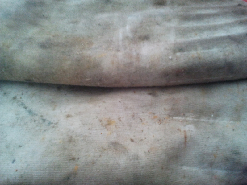 Shed-Texture20110809_0004