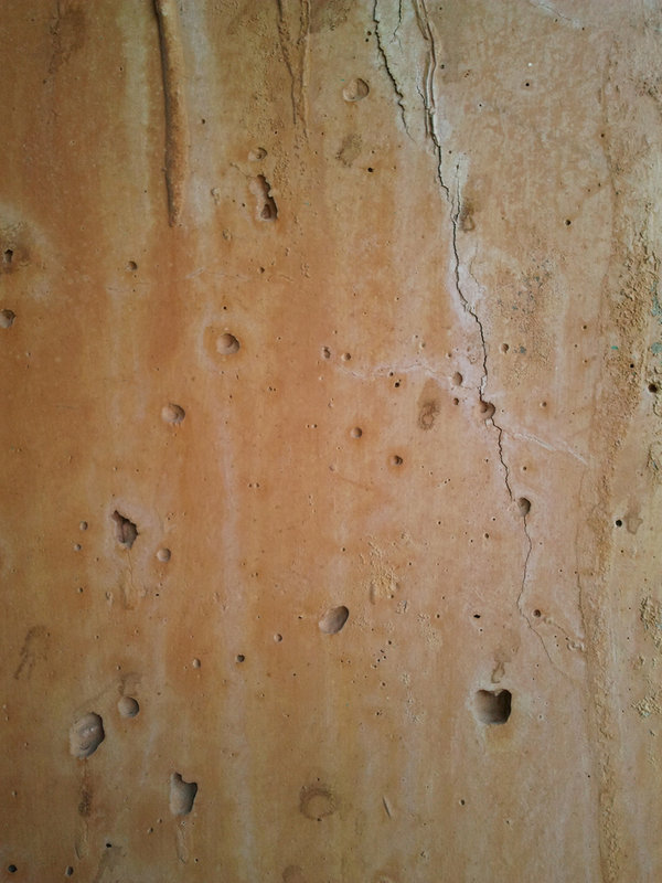 Shed-Texture20110809_0019