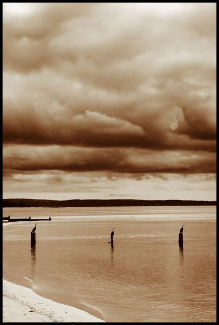 three_shags_tritone