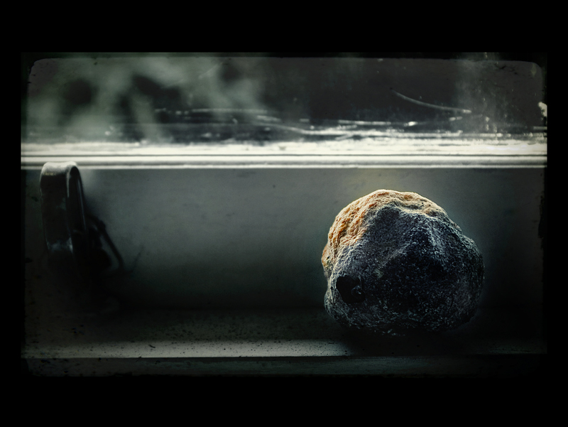 decay