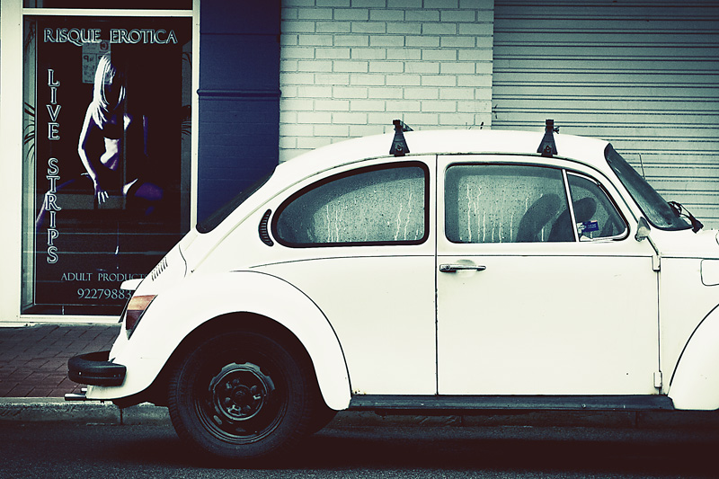 beetle erotica