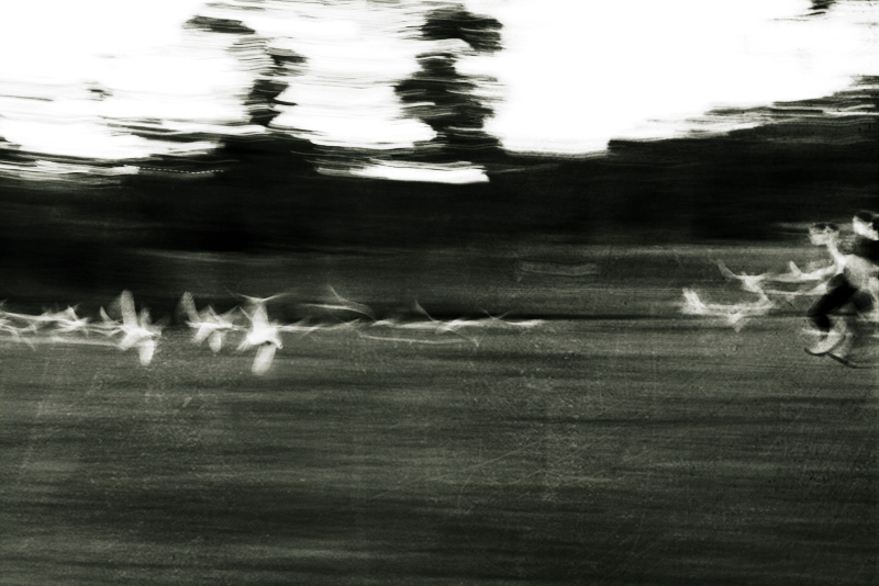 pursuit 