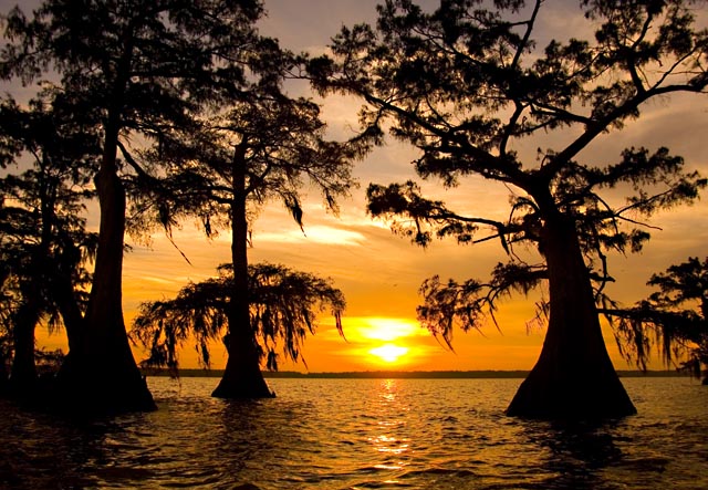 Atchafalya Sunset.jpg