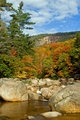 Swift River, Lower Falls