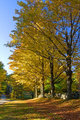 Cemetary Road