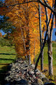 New England Stone Wall