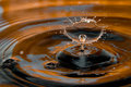 Drop7_08312009