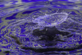 Drop11_08312009