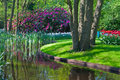 Keukenhof15