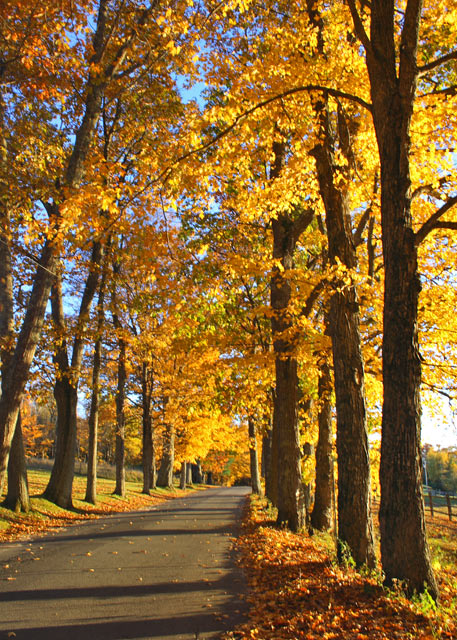 Tuttle Hill Road