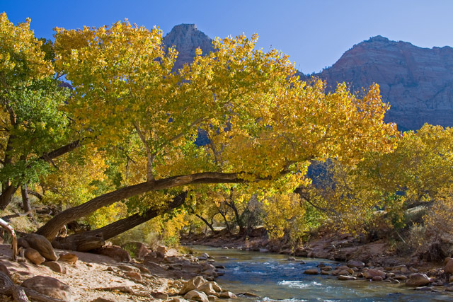 Zion2