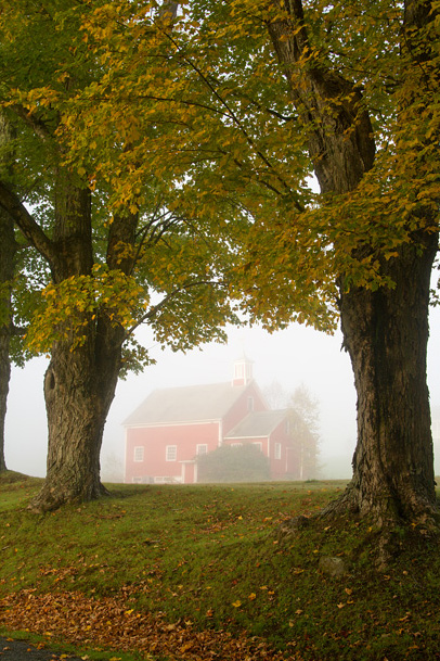 Autumn Mist