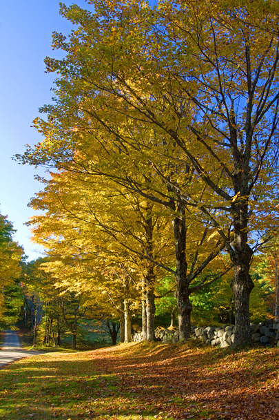 Cemetary Road
