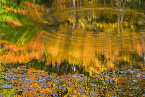 Autumn's Color Reflected