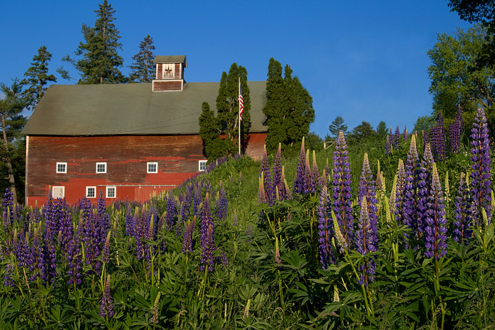 Sugar Hill NH