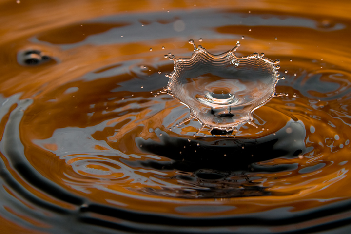 Drop8_08312009