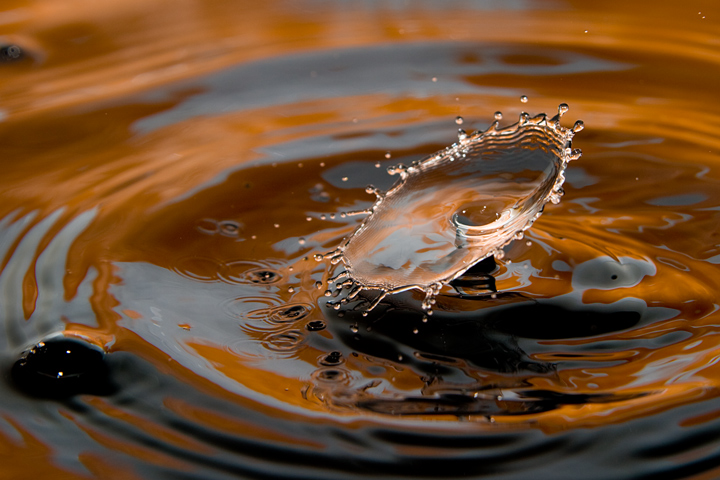 Drop9_08312009
