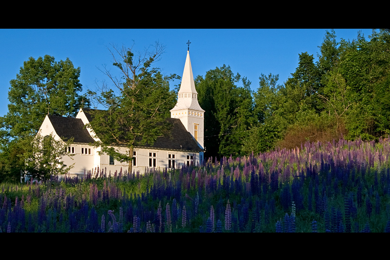 Church and Lupines