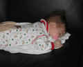 christmas nap