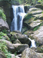 Black Forest Falls