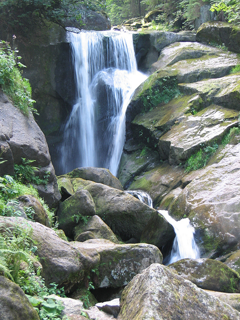 Black Forest Falls