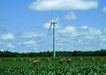 Wind Turbine and Straw Bales
