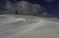 Drifts 2