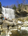 Webster's Falls