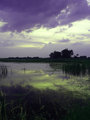 Sunset Marsh