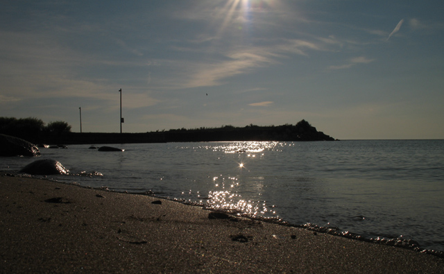 Reflections on the Shore