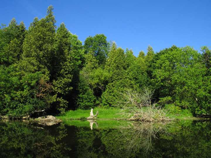 Riverbank