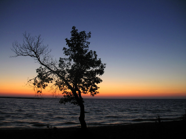 Sunset Silhouette