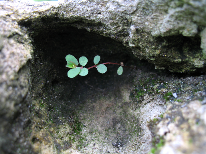 Sheltered