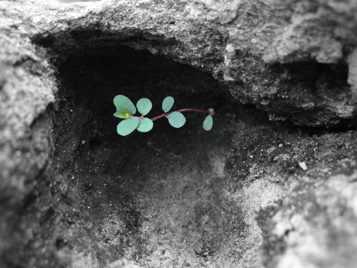 Sheltered - edited