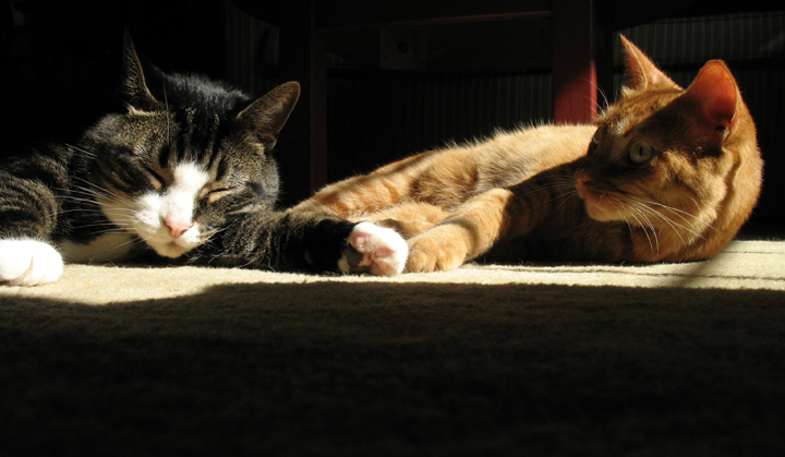 Arthur and Wally