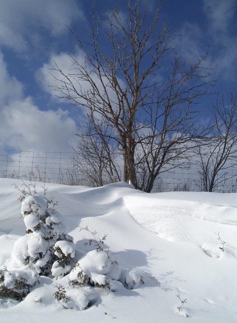 Drifts 3