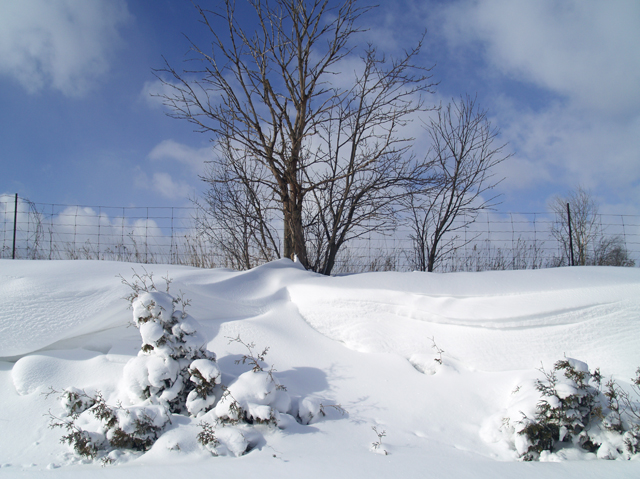 Drifts 4