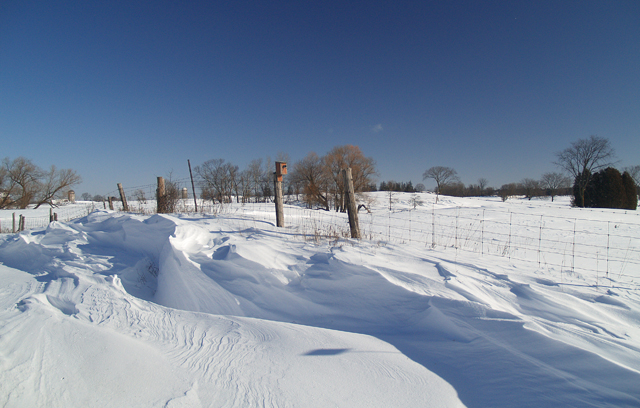 Drifts 13