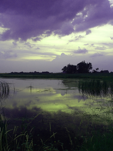 Sunset Marsh