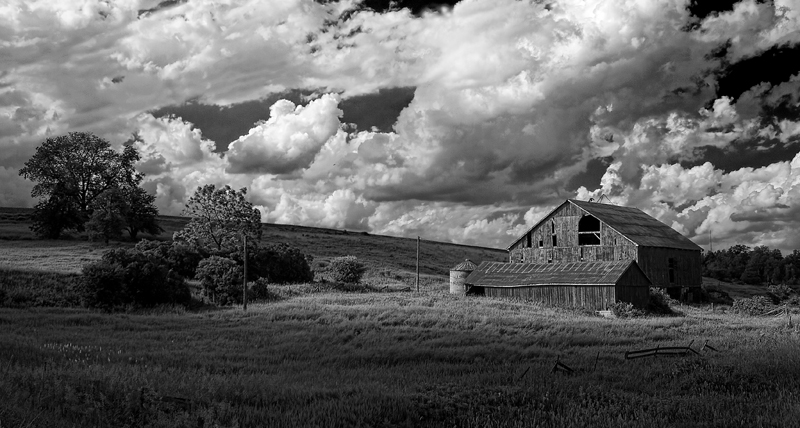 Barn in black & white