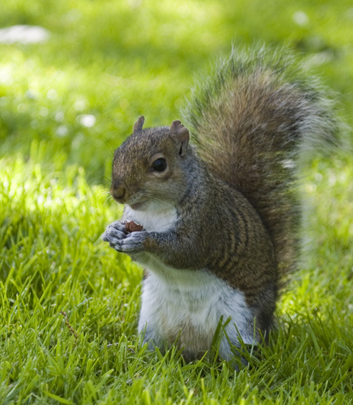 Feeding time