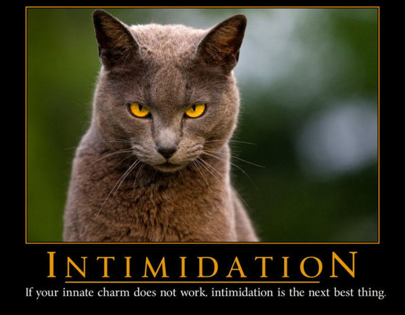 Intimidation