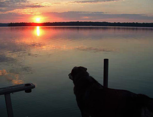 Hunter sunrise