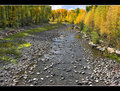 Color at Streamside